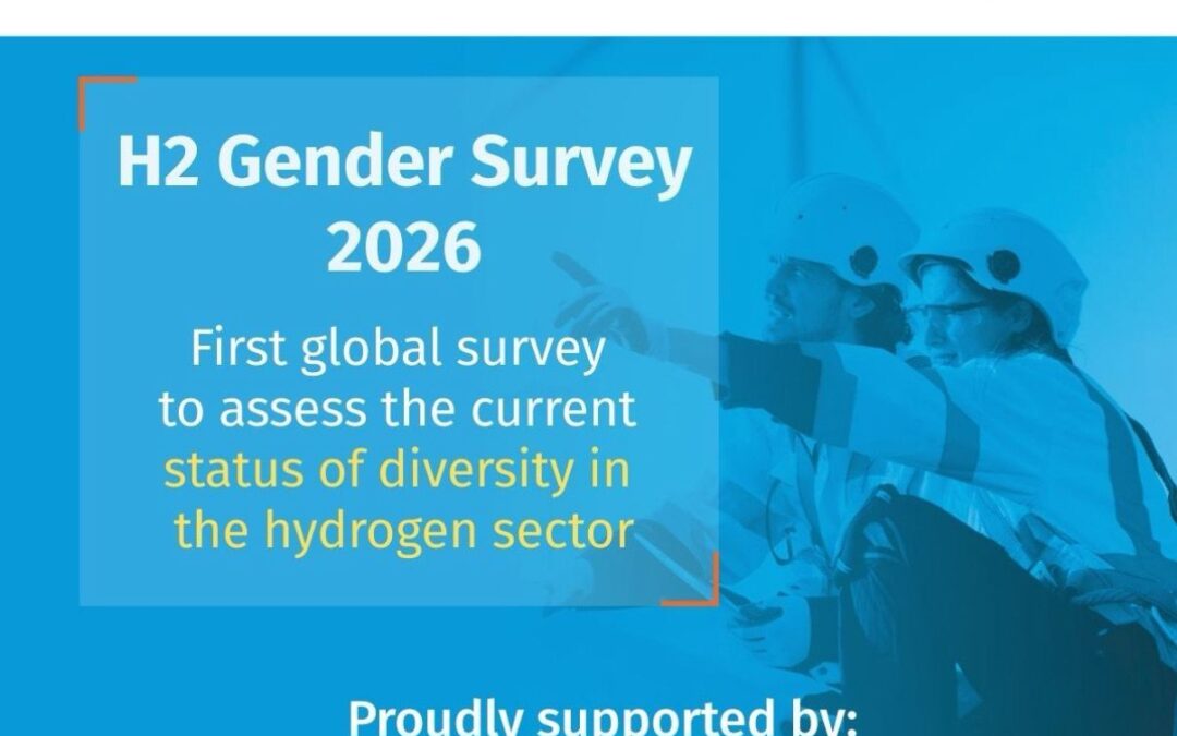 Encuesta de género H2