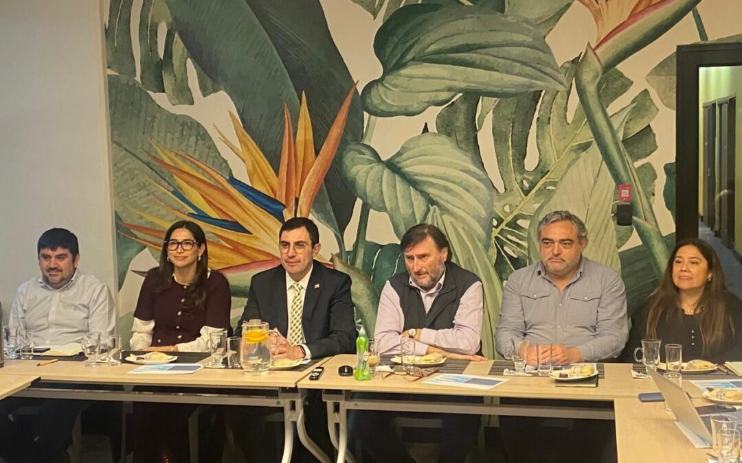 Comité Ejecutivo de H2V Biobío renueva su presidencia y avanza en la actualización de su Hoja de Ruta